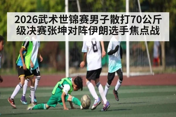 2026武术世锦赛男子散打70公斤级决赛张坤对阵伊朗选手焦点战